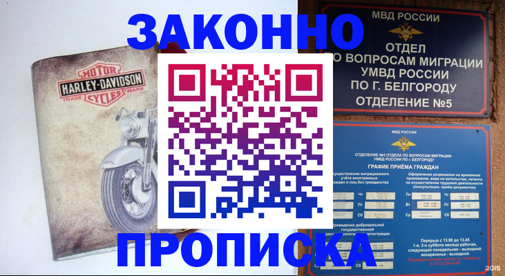 прописка для школы в Шуе